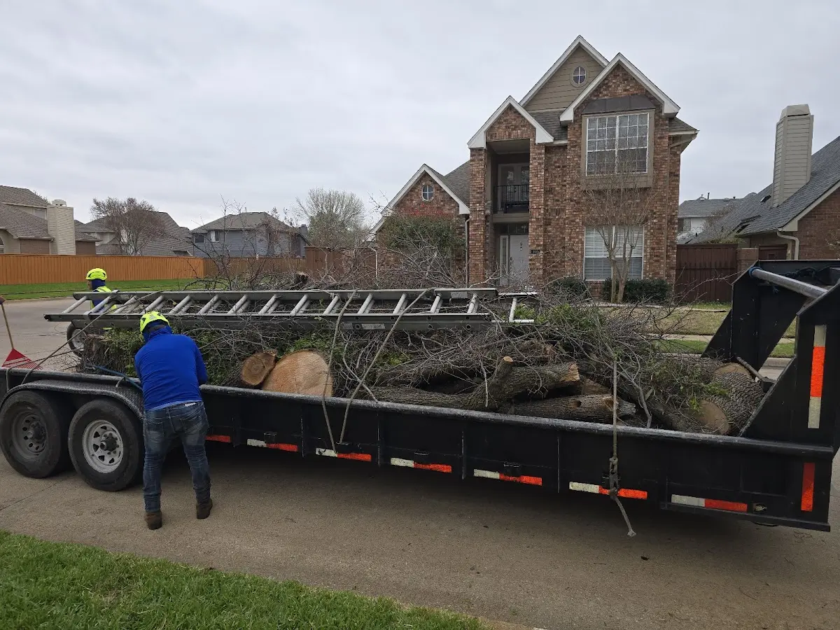 Expert Lot Clearing with proper safety equipment in Gilmer